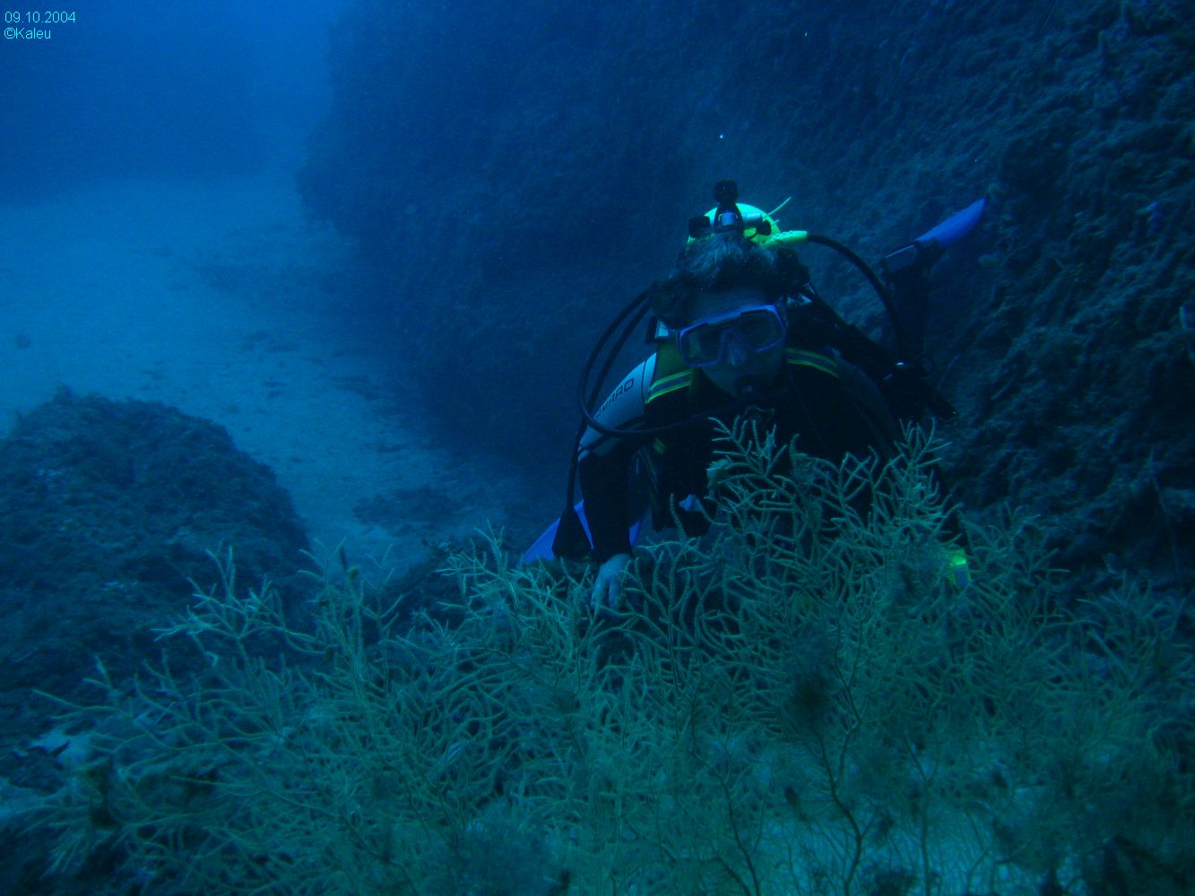 KaLeu 019
